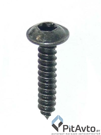 WRT 92974M Саморез 3.9x19.5mm под TORX цвет черный
