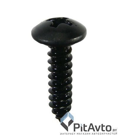 WRT 93058M Саморез 4.9x20mm цвет черный