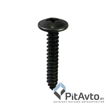 WRT 93175M Саморез 4.2x25.5mm цвет черный