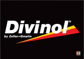 фото DIVINOL. запчасти в Бресте